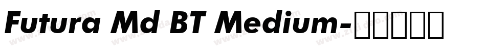 Futura Md BT Medium字体转换